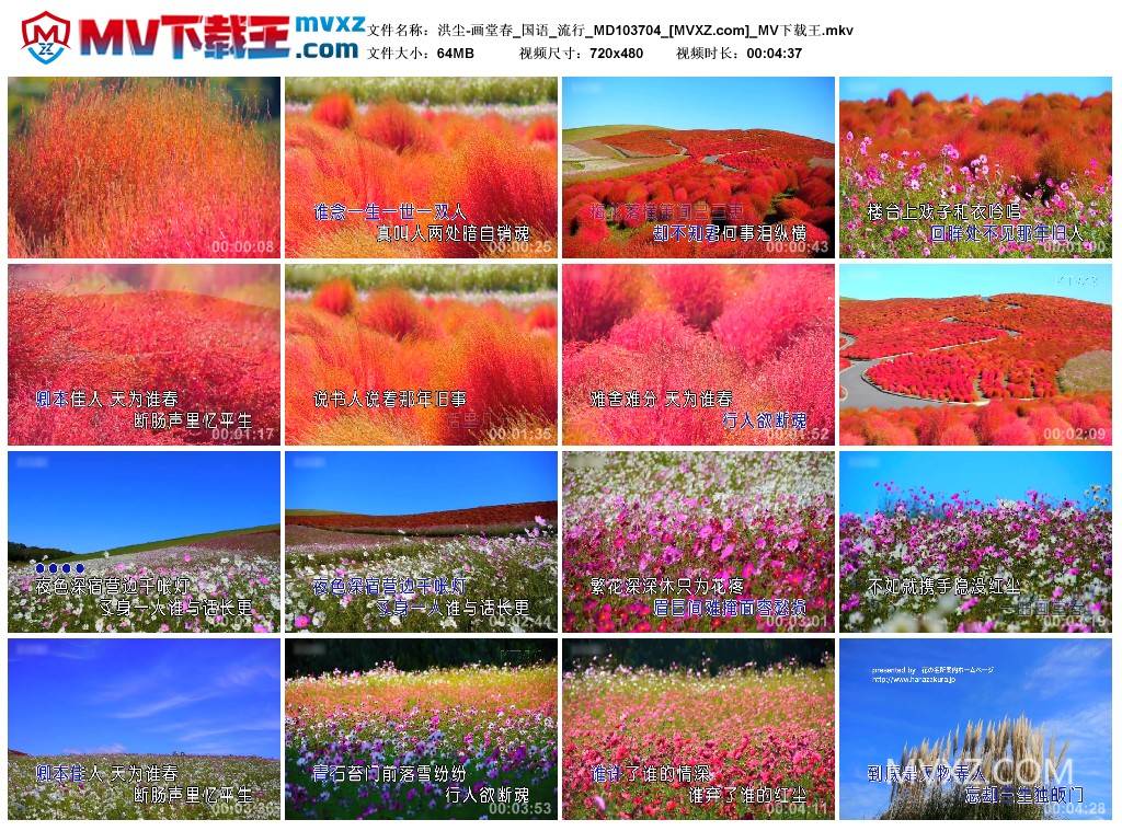 洪尘-画堂春_国语_流行_MD103704